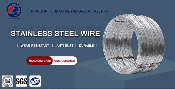 SUS 0.13mm-3mm 304L/430/316/316L 스테인리스 스틸 와이어 고품질 및 No.1 표면 마무리